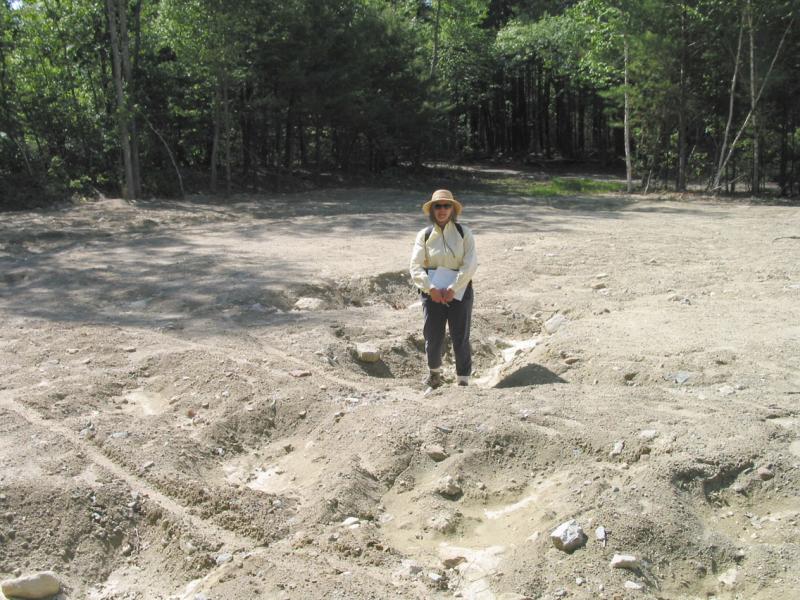 sinkhole.deb.5_1739.jpg