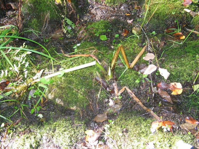 ph_2969.jpg