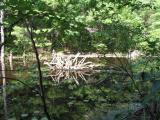 pondlands.51765.jpg