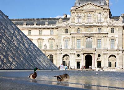 Mallards at the Louvre