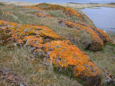 Nesseby-Varanger