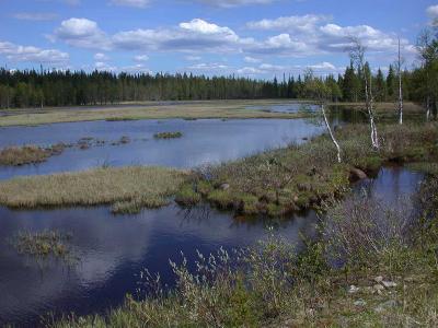 DSCN8128S-ved-Kuusamo-Finl.jpg