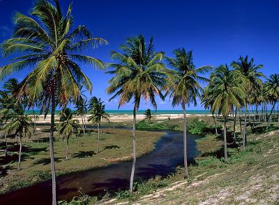 Praia de Maracaja3