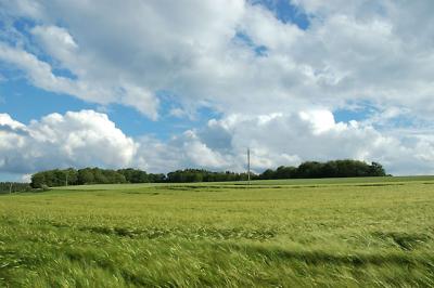 u47/andi1712/medium/30321897.DSC_1420w.jpg