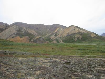 Denali Day 8