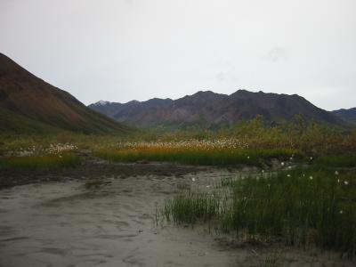 u47/andressp/medium/30853291.IMG_2910.jpg