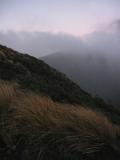 Ruahine dawn