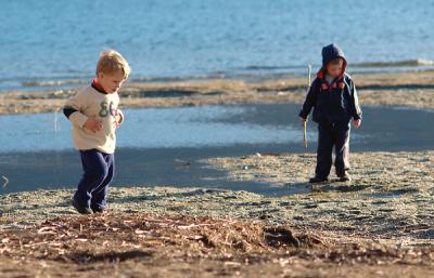 Fossicking