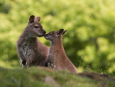 mother and child