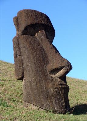 u47/aqohana/medium/30226643.DiscardedMoai.jpg