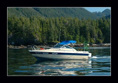 u47/aquaholic2/medium/30581970.DSC_0034E.jpg
