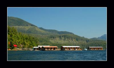 u47/aquaholic2/medium/30581976.DSC_0091E.jpg