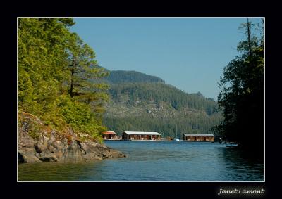 u47/aquaholic2/medium/30581977.DSC_0096E.jpg