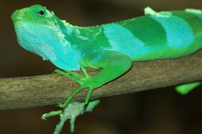 DSC_2745.jpg