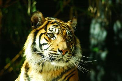 DSC_3063.jpg