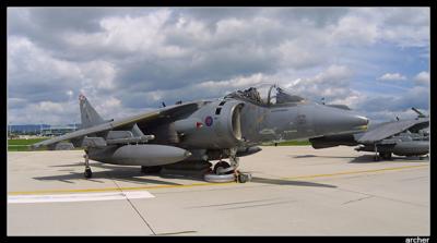 Harrier