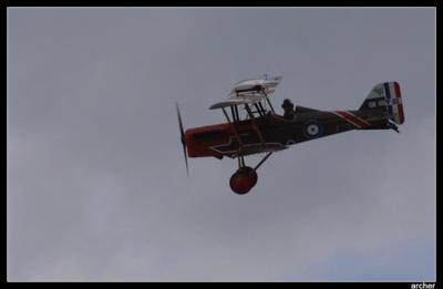 IMG_1945.jpg