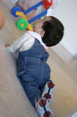 IMG_7239.jpg