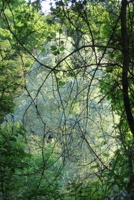 Credit River - Overhang