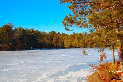 Frozen Blass Lake 1.jpg