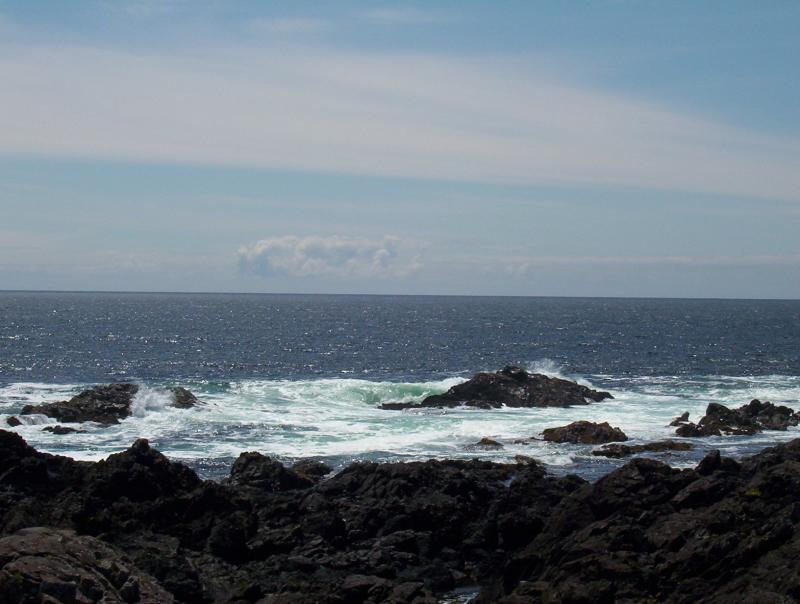 100_0034.JPG