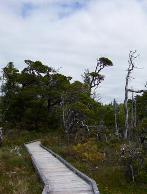 100_0024.JPG