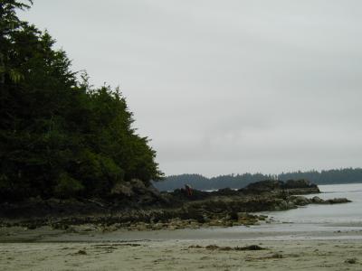 P1010244.JPG