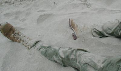 vanisland2004