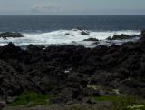 100_0032.JPG