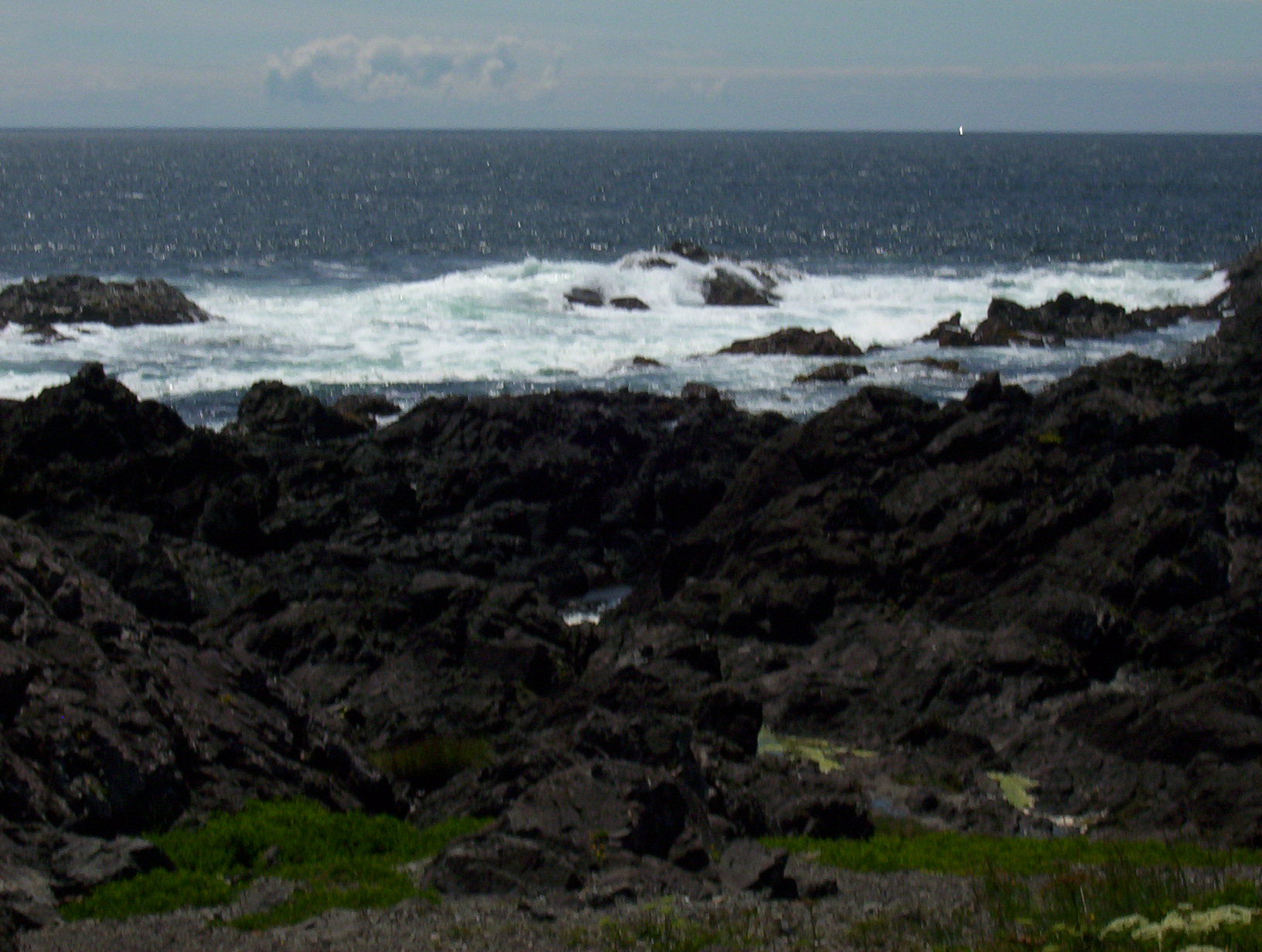 100_0032.JPG