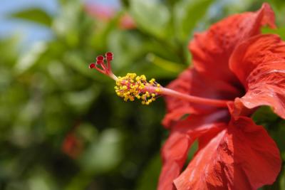 DSC_8143web.jpg