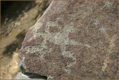 Salt River Canyon Petroglyph #2
