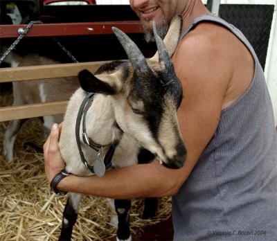 u47/beaucamera/medium/30892674.HarleyFarms13.jpg