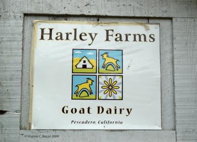 u47/beaucamera/medium/30892708.HarleyFarms1.jpg