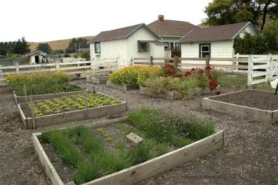 u47/beaucamera/medium/30892772.HarleyFarms8.jpg