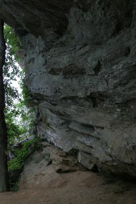CRW_0802.jpg