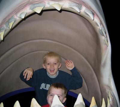 Chase, Noah & the Shark