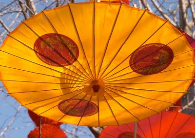 Ditan Park Umbrella