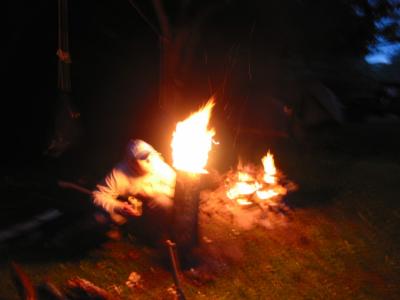 Scandinavian log fire