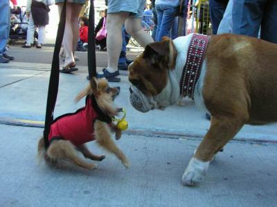June19_04_352.JPG