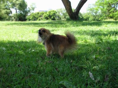June23_04_011.JPG