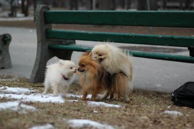 Feb20_05_039.JPG