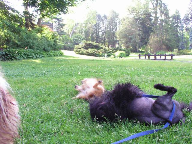 June15_04_323.JPG
