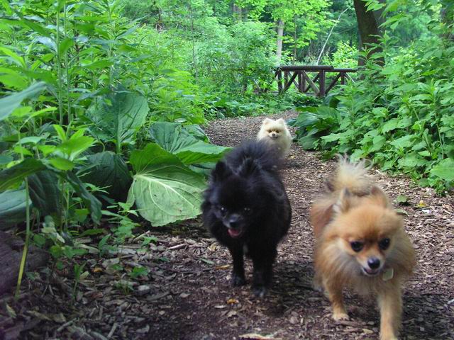 June15_04_407.JPG