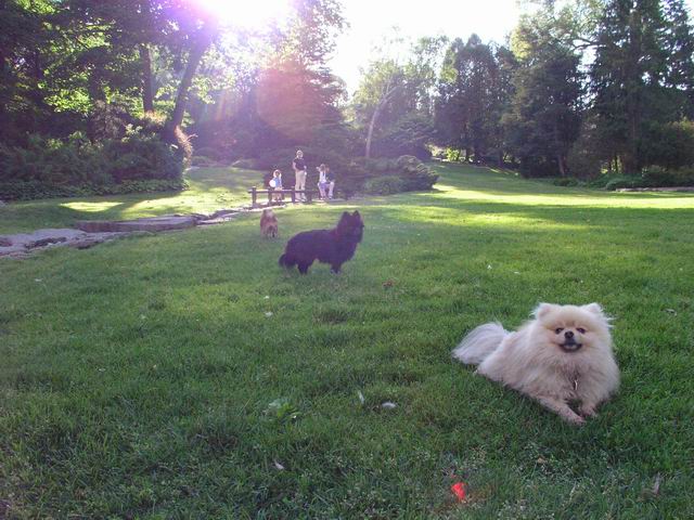 June15_04_495.JPG