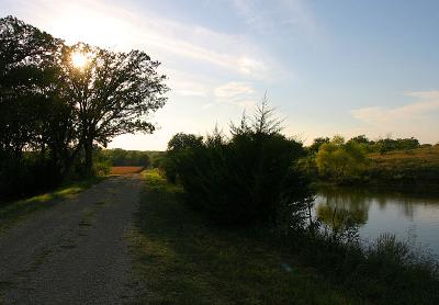6343.jpg
