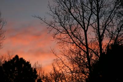 Colorado Springs