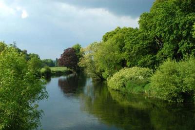 u47/bmcmorrow/medium/30447167.IrelandB007.jpg