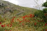 Acrocorinth