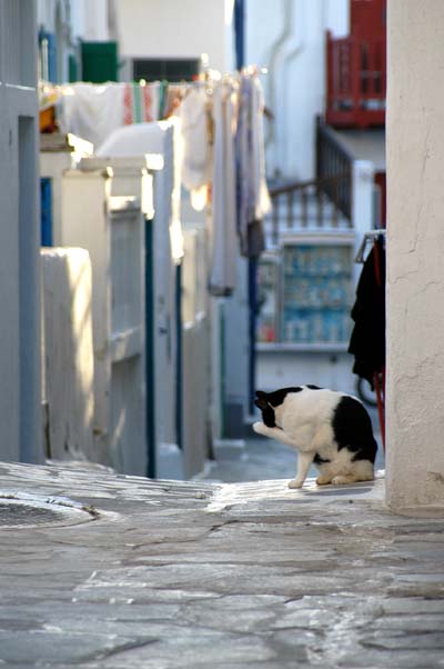 Mykonos